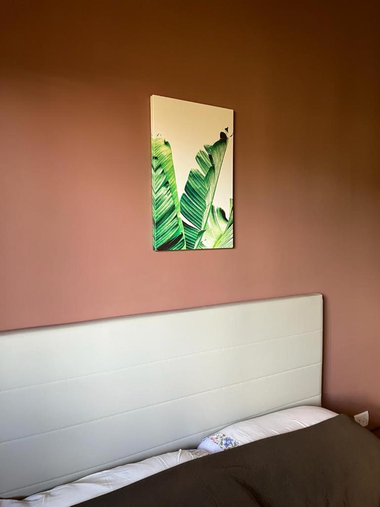 La Selva Monoambientes Apartment ปูแอร์โตอีกวาซู ภายนอก รูปภาพ